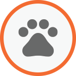 click here for dog control